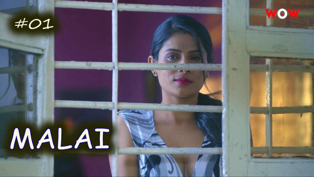 Malai S01E01 WOW Originals Porn Web Series 2023